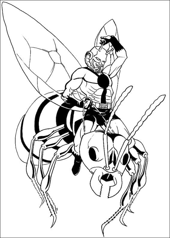 Ant Man Đang Bay