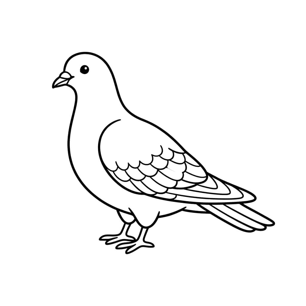 Chim Bồ Câu Nhỏ Đáng Yêu