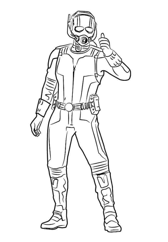 Người Kiến Marvel