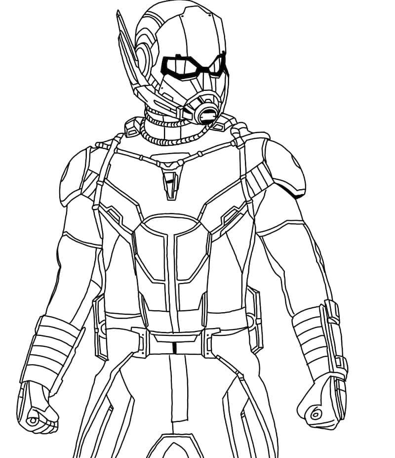 Tô Màu Người Kiến Ant Man