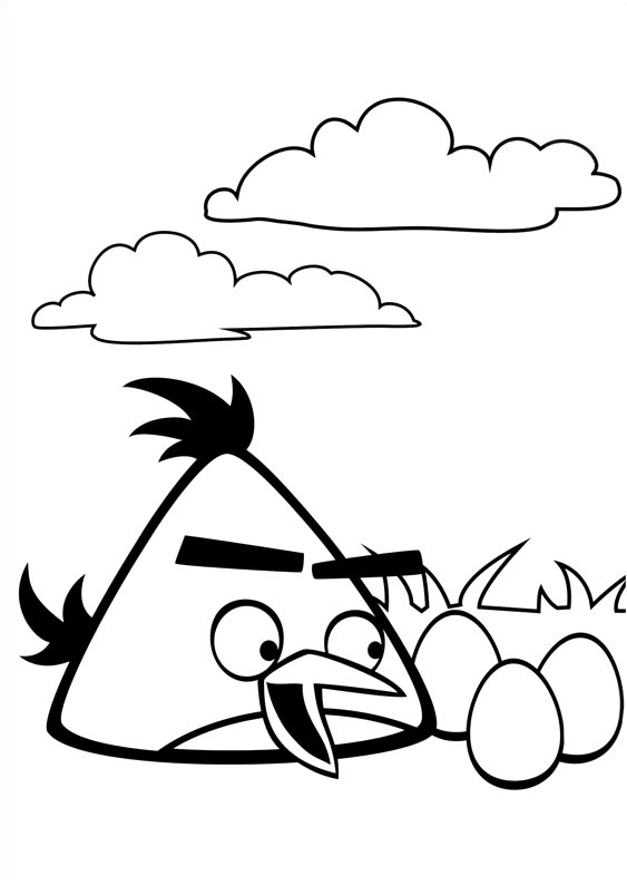 angry birds chuck và 3 quả trứng