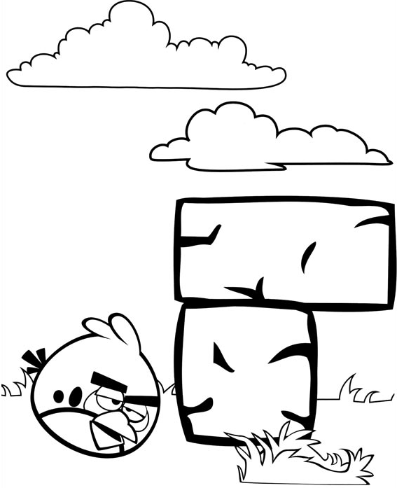 angry birds red choáng váng