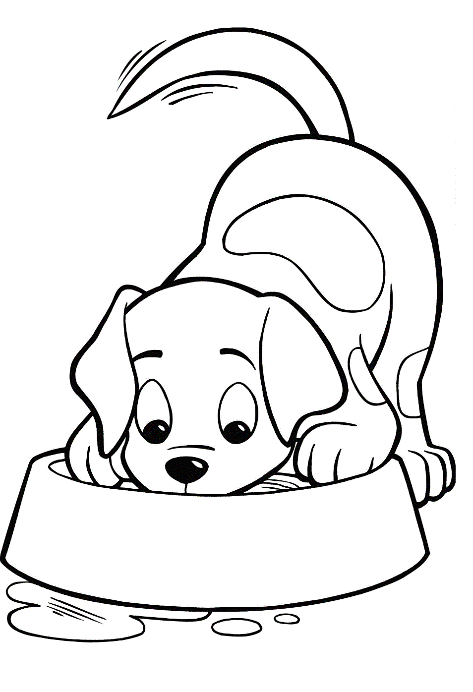 chú chó uống nước
