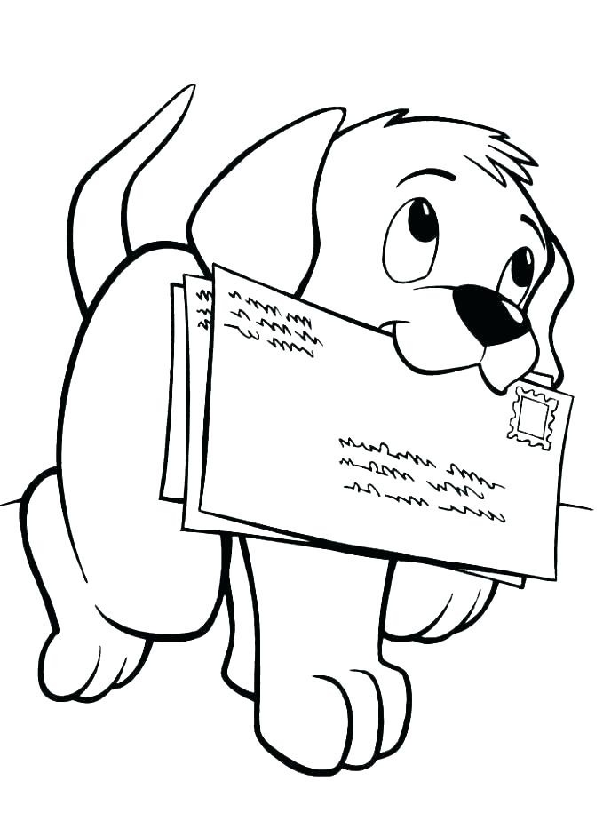 chú chó đưa thư