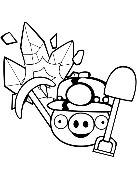 lợn đào mỏ trong angry birds
