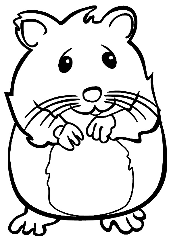 chuột hamster mỉm cười