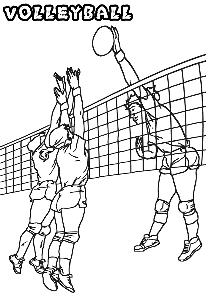 thi đấu bóng chuyền