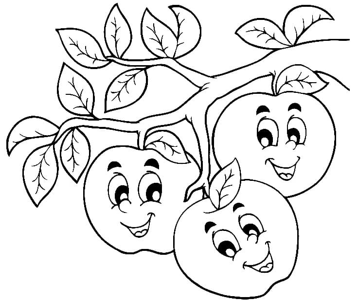 3 Quả Táo Trên Cành Cây
