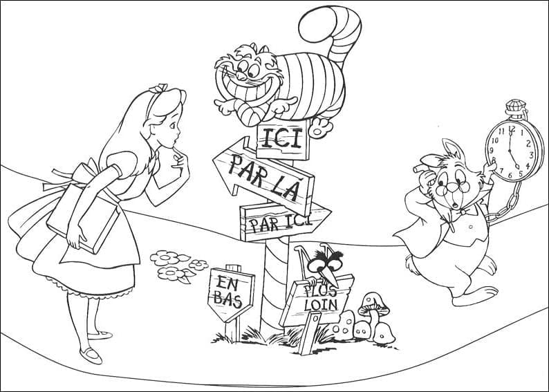 Alice Và Biển Báo