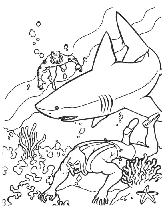 Aquaman Và Cá Mập