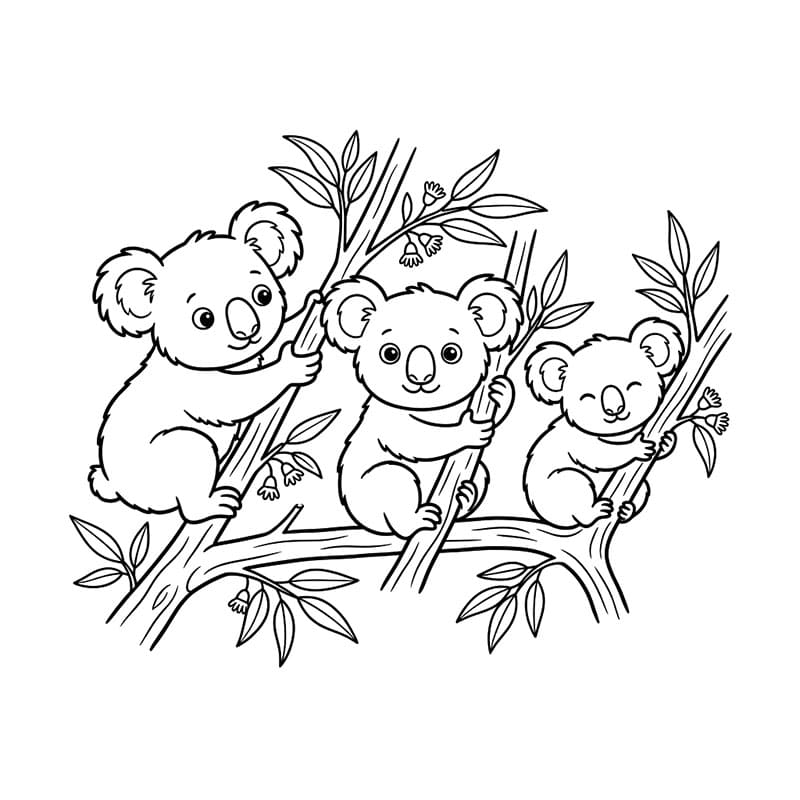 Ba Con Gấu Túi