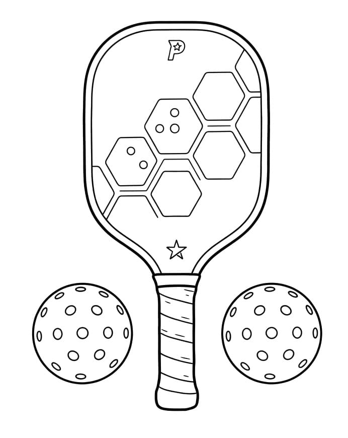 Bóng và Vợt Pickleball