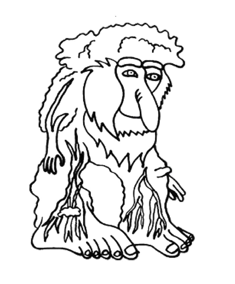 Brr Brr Patapim Trong Brainrot