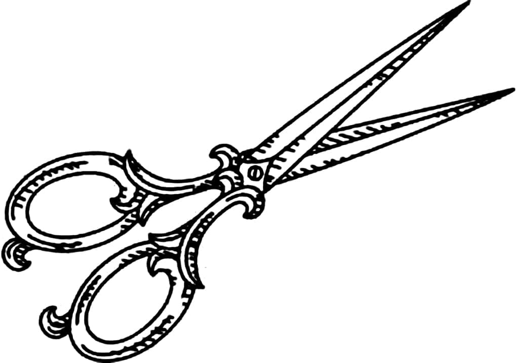 Cái Kéo Rất Đẹp