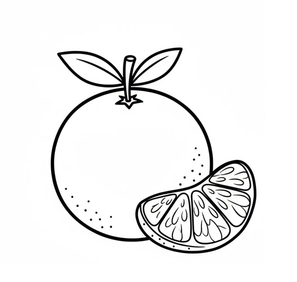 Cam Cắt Một Phần