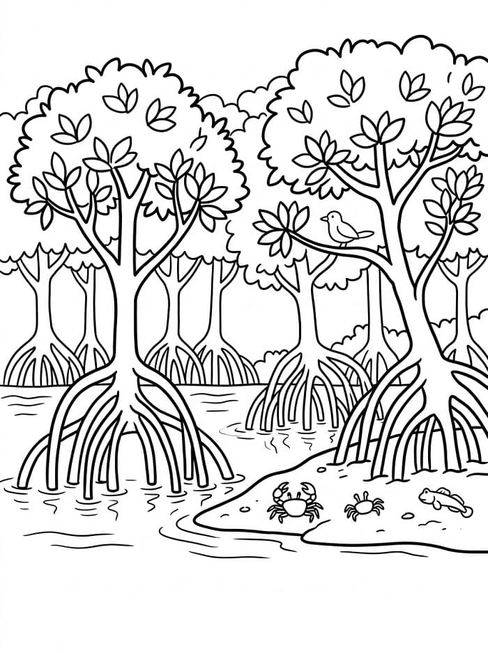 Cảnh Rừng Ngập Mặn