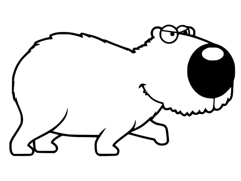Capybara Hoạt Hình