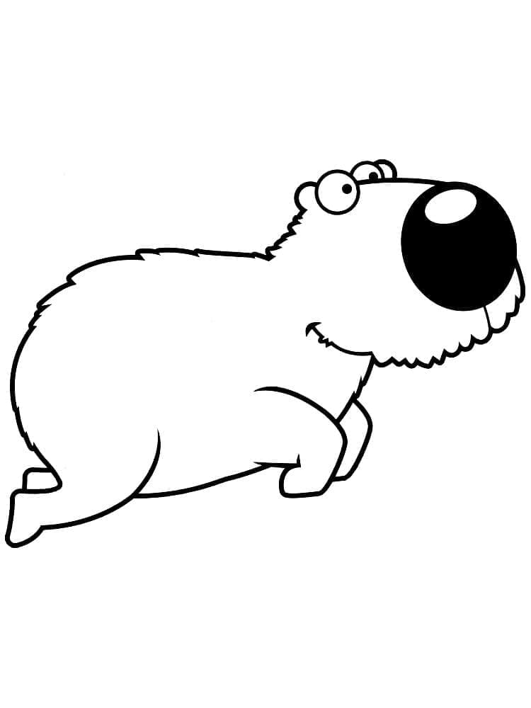 Capybara Nhảy