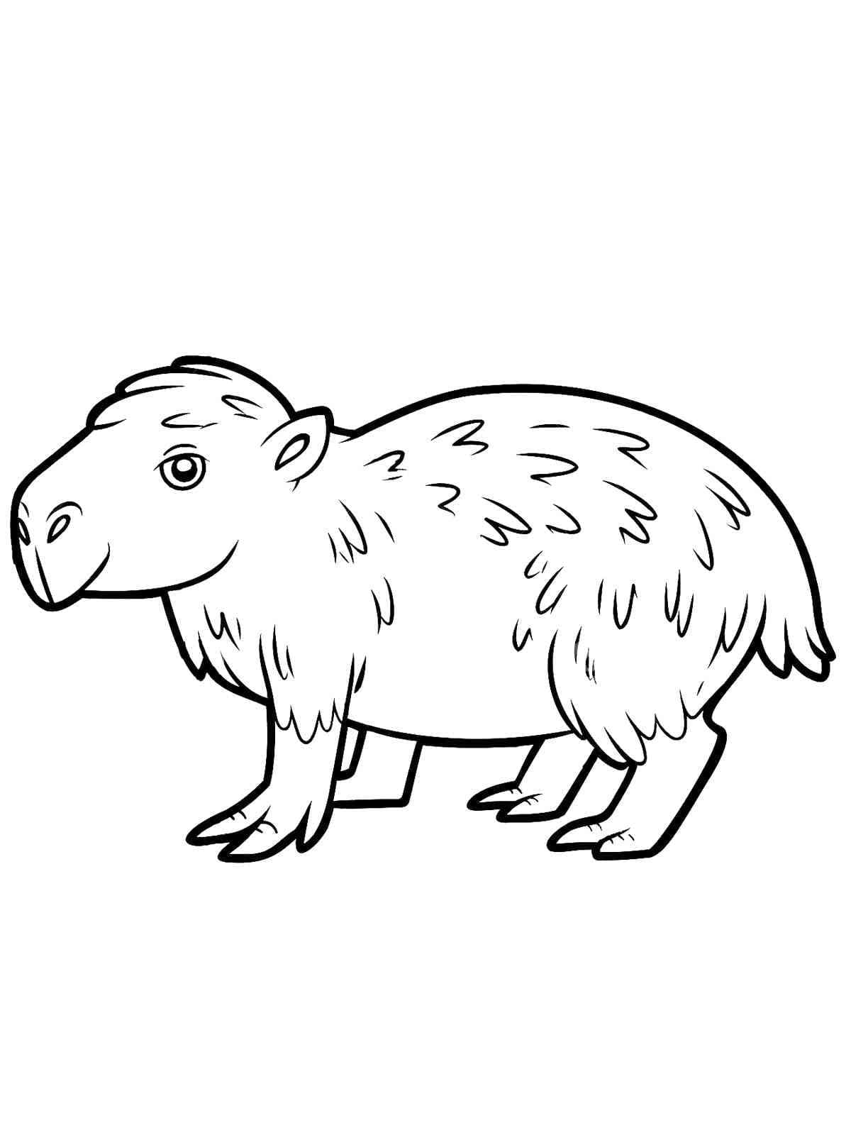 Capybara Nhỏ Dễ Thương