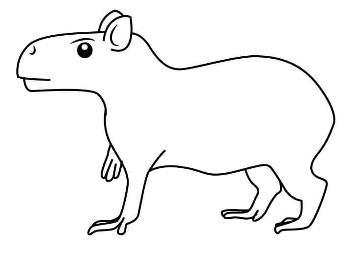 Capybara Rất Đơn Giản