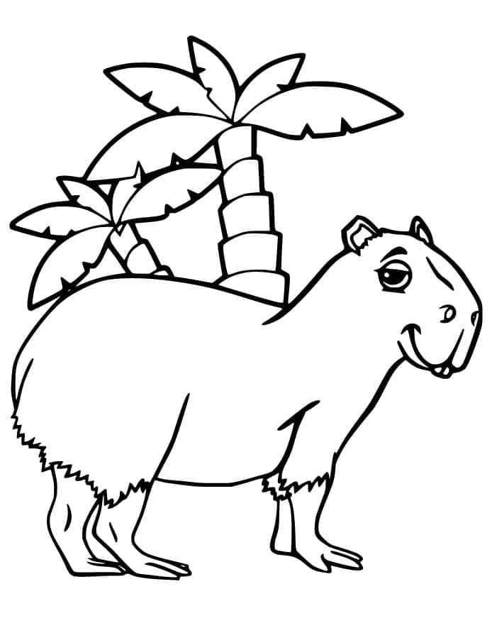 Capybara Vui Nhộn
