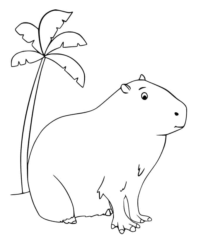 Capybara và Cây Dừa