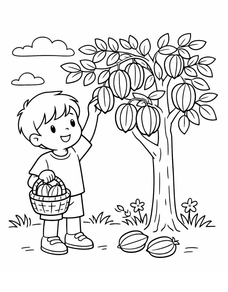 Cậu Bé Hái Khế