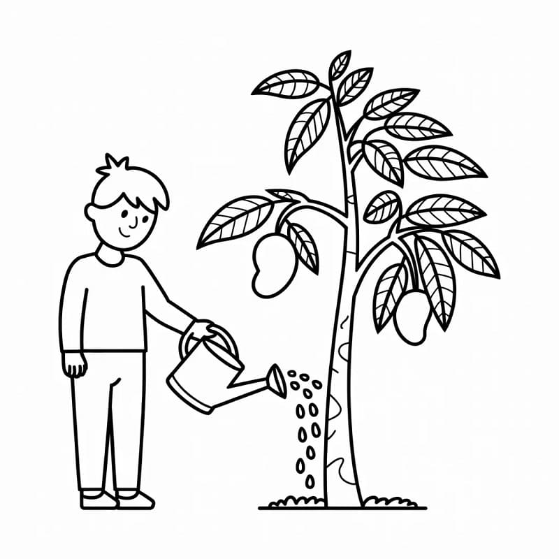 Cậu Bé Tưới Cây Xoài