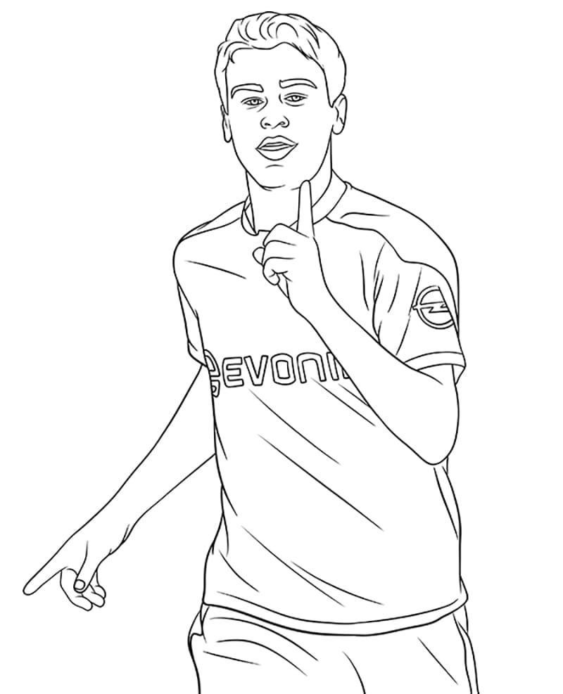 Cầu Thủ Bóng Đá Giovanni Reyna