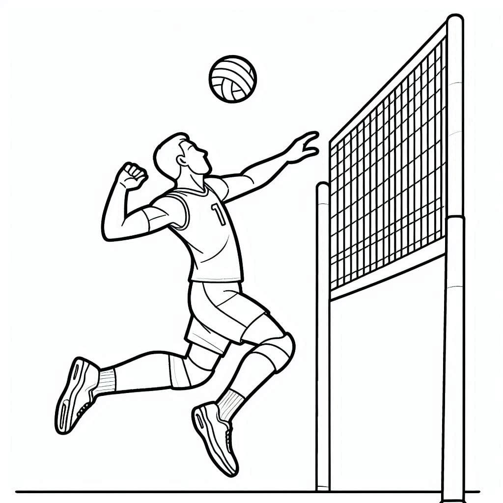 Cầu Thủ Đánh Bóng Chuyền