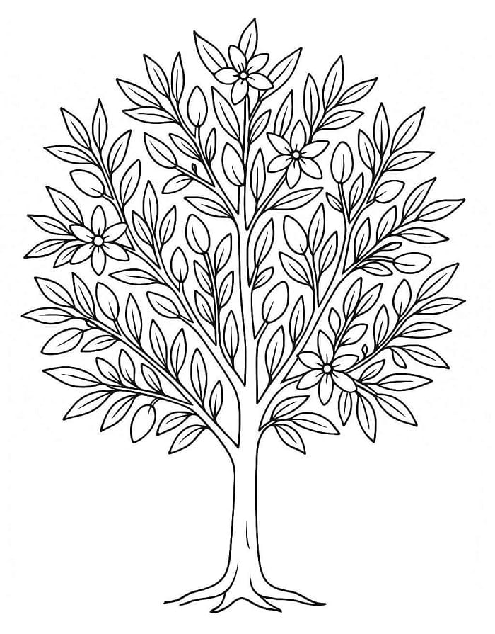 Cây Bàng Đơn Giản