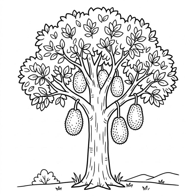 Tô Màu Cây Mít