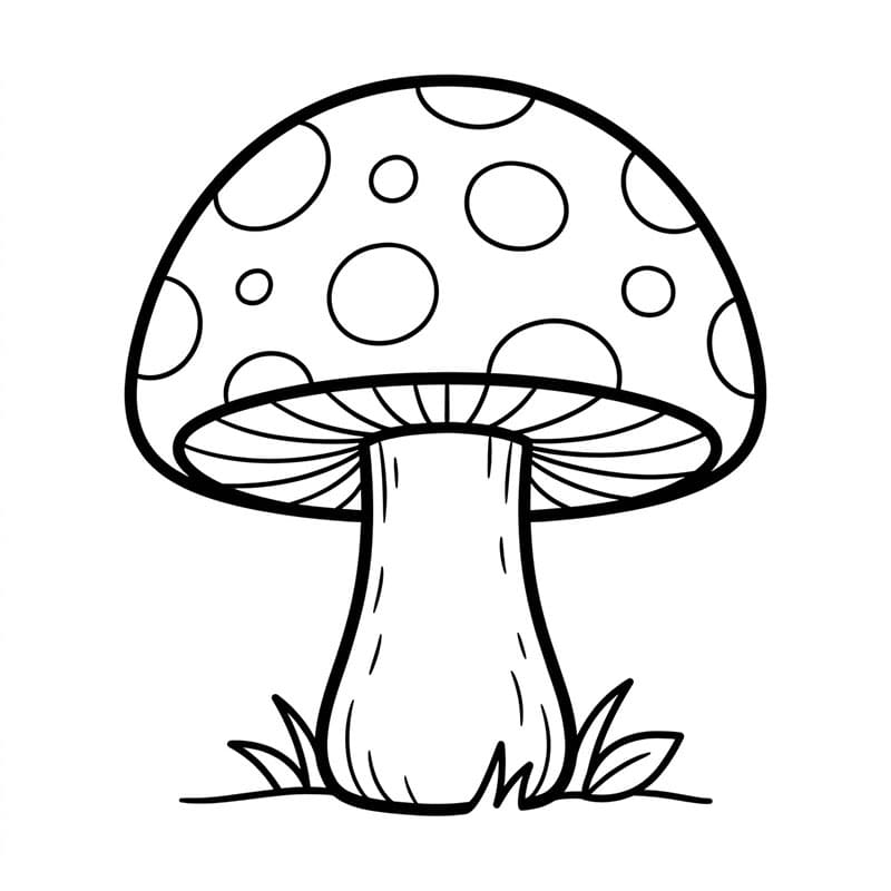 Cây Nấm Sặc Sỡ