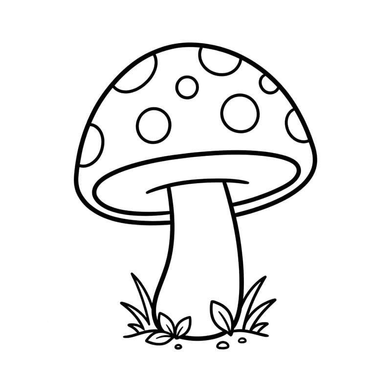 Cây Nấm Tuyệt Vời