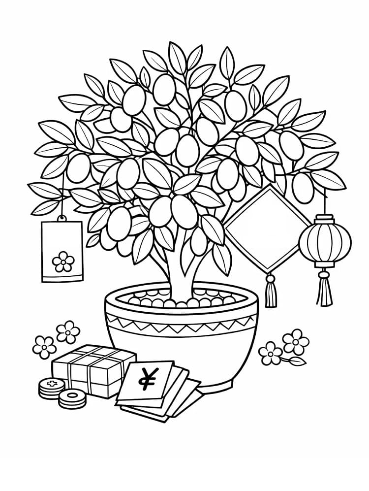 Cây Quất Cho Ngày Tết