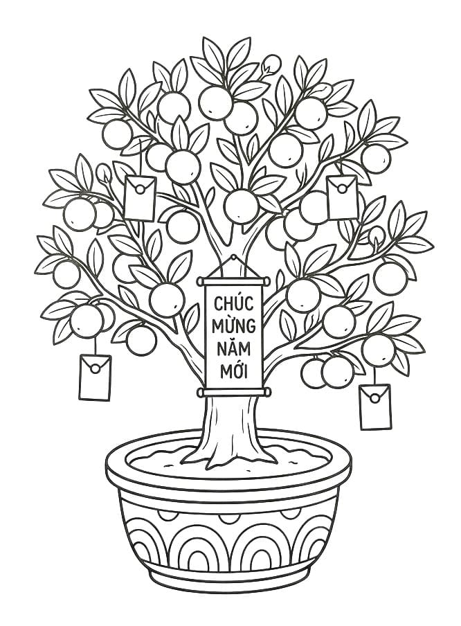 Cây Quất Chúc Mừng Năm Mới