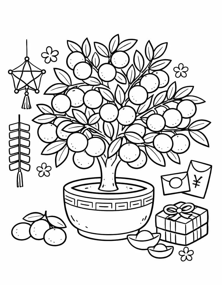 Cây Quất Nhỏ Cho Ngày Tết