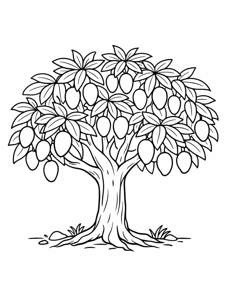 Cây Xoài Nhiều Trái