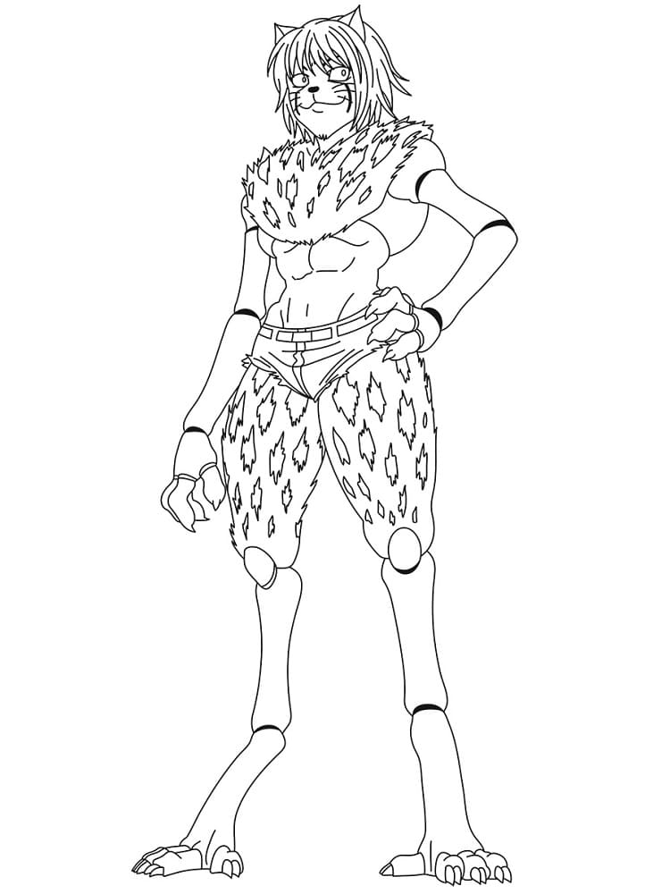 Cheetu Trong Hunter x Hunter