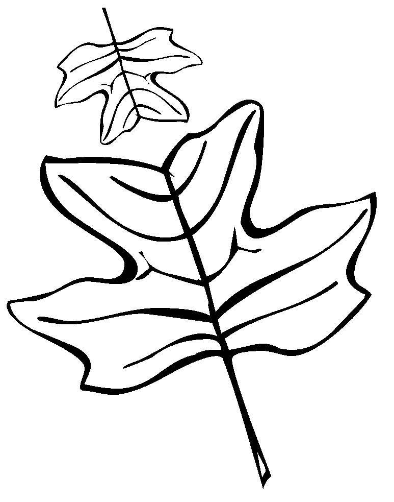 Tô màu Chiếc Lá Bình Thường Chiếc Lá Bình Thường