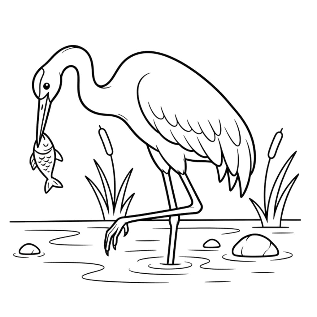 Tô màu Chim Hạc Bắt Cá Chim Hạc Bắt Cá