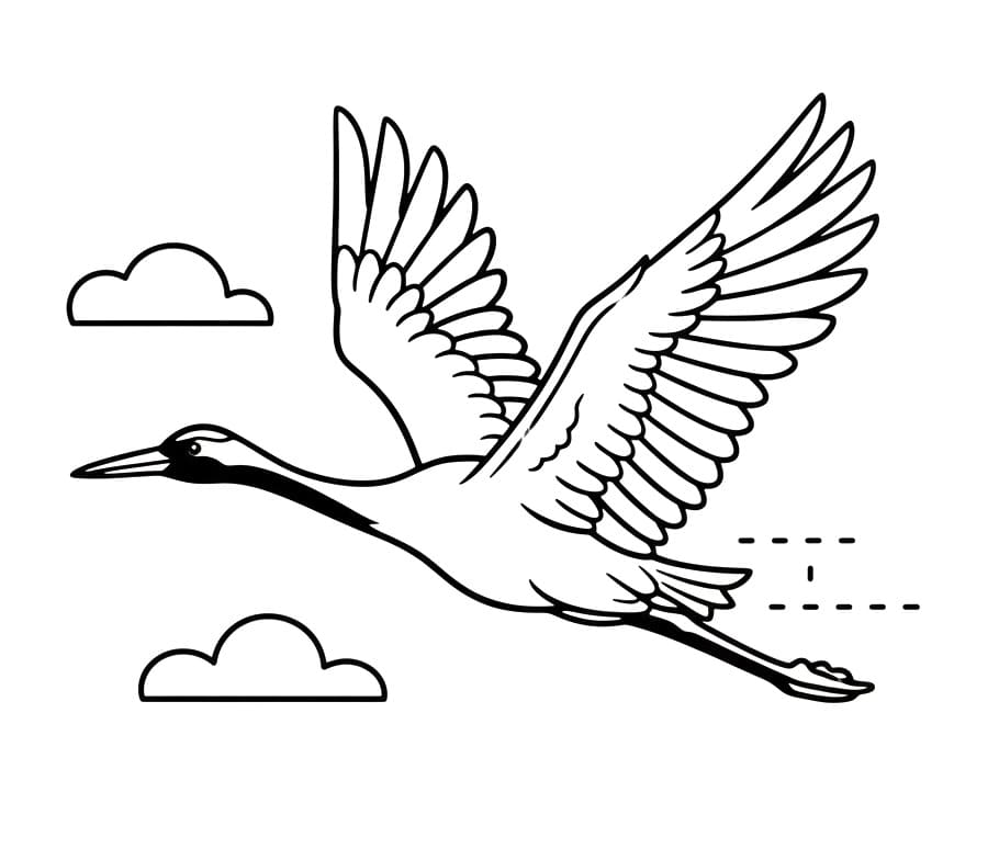 Tô màu Chim Hạc Bay Chim Hạc Bay