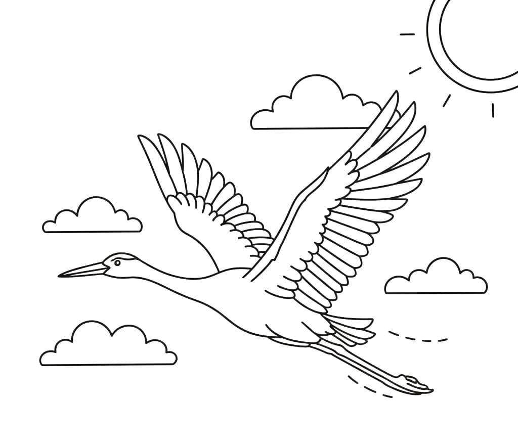 Tô Màu Chim Hạc