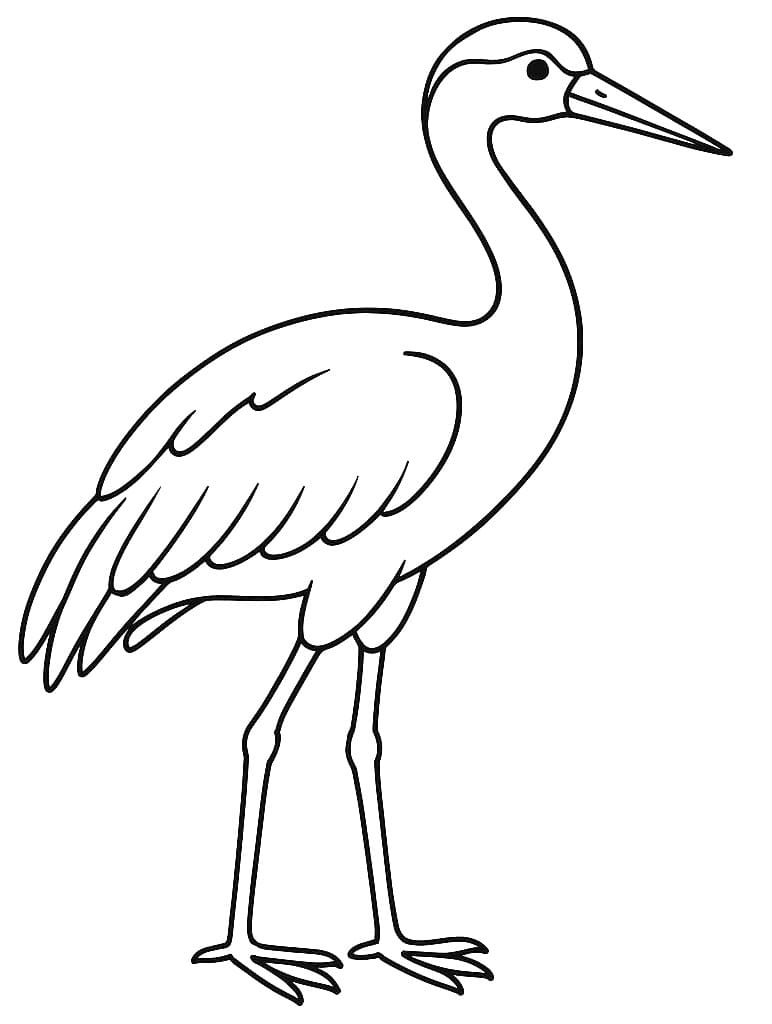 Tô màu Chim Hạc Đơn Giản Chim Hạc Đơn Giản