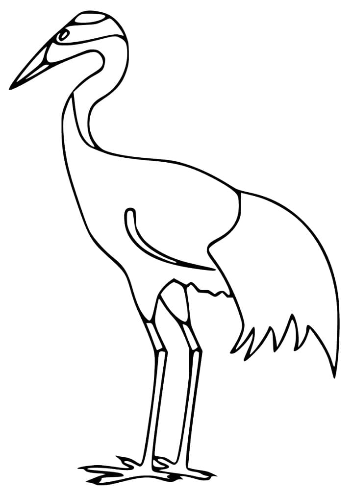 Tô màu Chim Hạc Đơn giản Nhất Chim Hạc Đơn giản Nhất