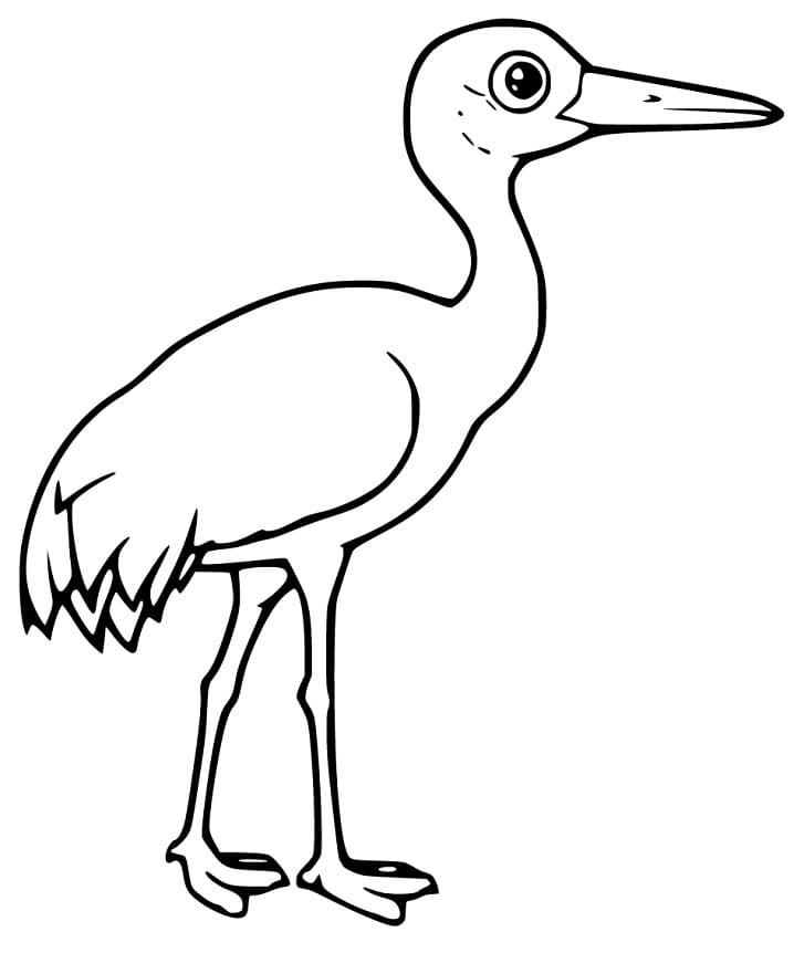 Tô màu Chim Hạc Nhỏ Chim Hạc Nhỏ