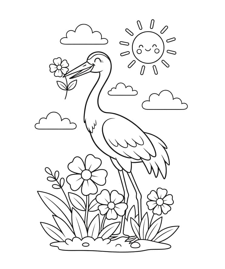 Tô màu Chim Hạc Rất Đẹp Chim Hạc Rất Đẹp