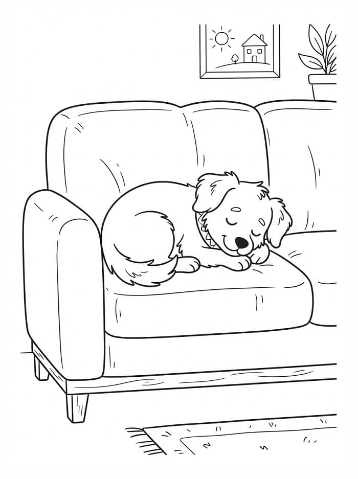Chó Con Ngủ Trên Sofa