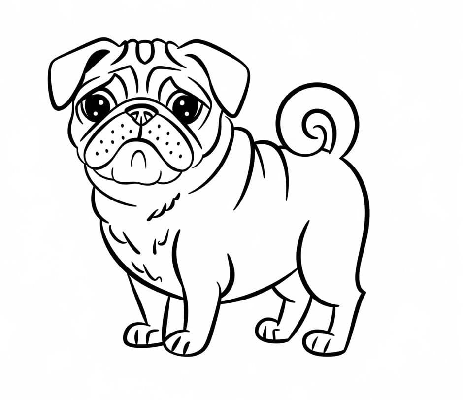 Chó Pug Cute Nhất