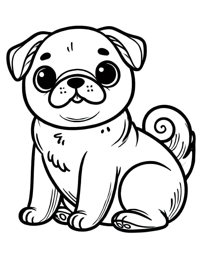 Chó Pug Đáng Yêu Nhất